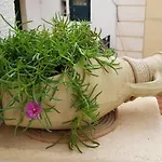 Petra Marina Appartamento *