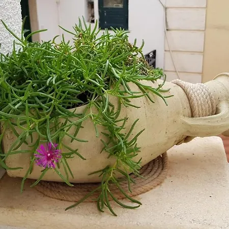 Petra Marina Apartment *