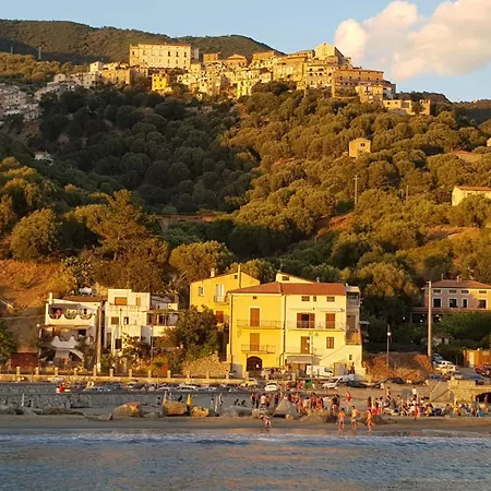 Petra Marina Apartment