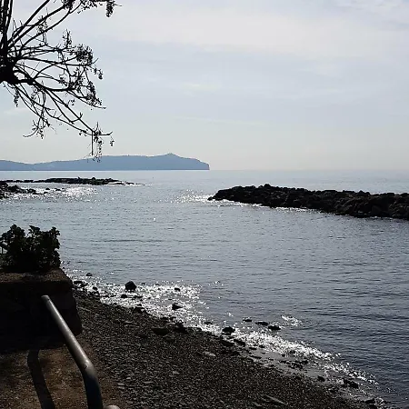 Petra Marina