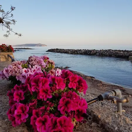 Petra Marina Apartamento *