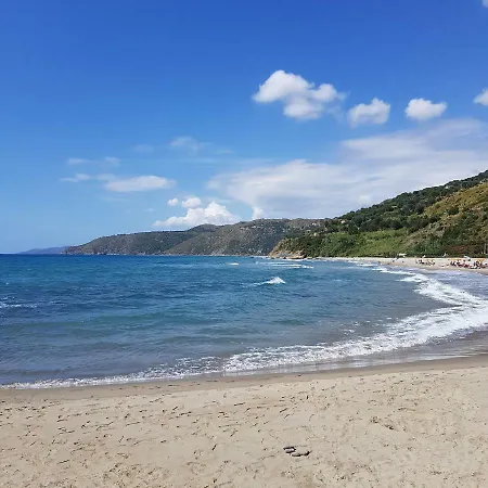 Petra Marina Pisciotta