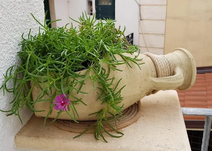 Petra Marina 公寓 *